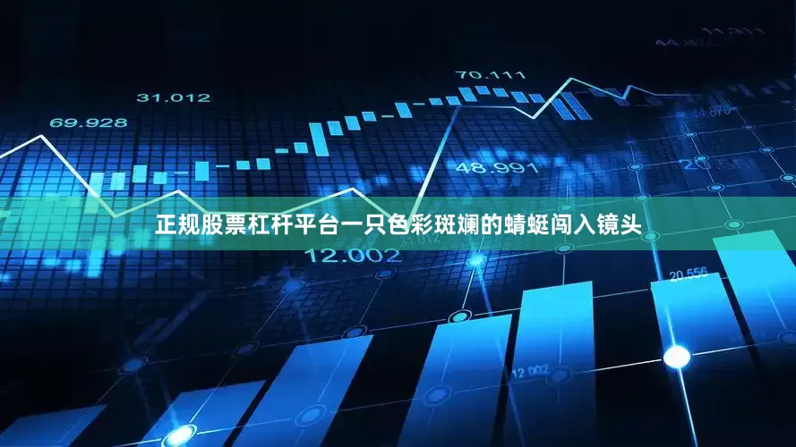 正规股票杠杆平台一只色彩斑斓的蜻蜓闯入镜头